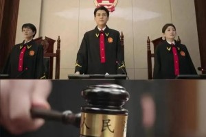 6部高质量公检法题材电视剧盘点：正义与权力的博弈