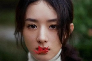 精美图片展示：自然与艺术之美