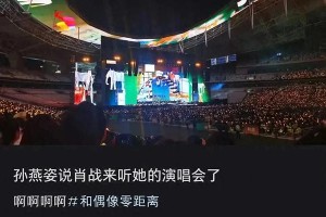 孙燕姿上海演唱会肖战现身，顶流追星引热议