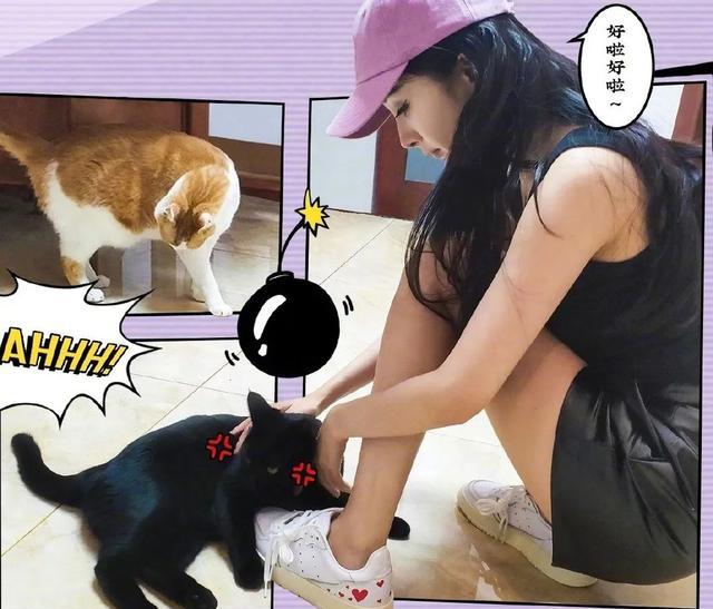 杨幂皮质短裤街拍