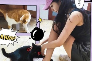 杨幂宋茜反季穿搭秘诀：3种皮质单品提升时髦度