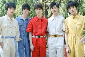 粉丝行为与偶像前程：小张张与时代少年团的成长故事