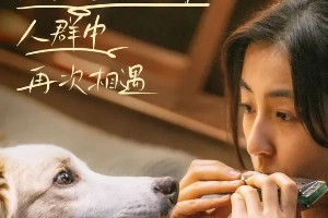 2024十大新生代女演员盘点：张子枫、关晓彤领衔